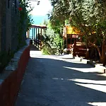Schoenberg Kızılot