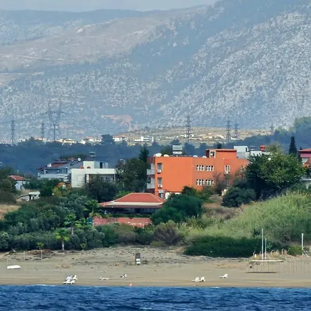 Schoenberg Kızılot