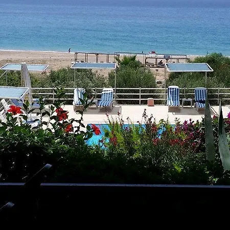 Schoenberg Kızılot