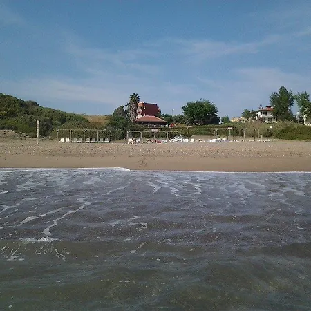 Schoenberg Kızılot