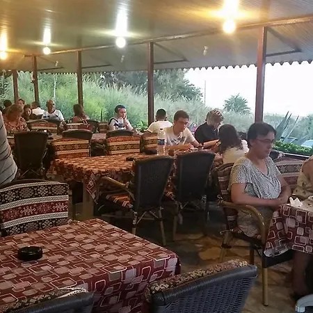 Schoenberg Homestay *