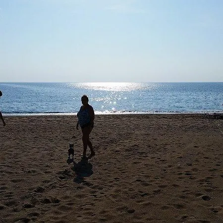 Schoenberg Kızılot