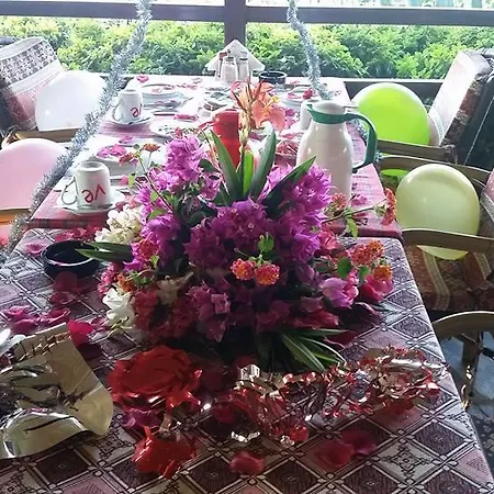 Schoenberg * Kızılot