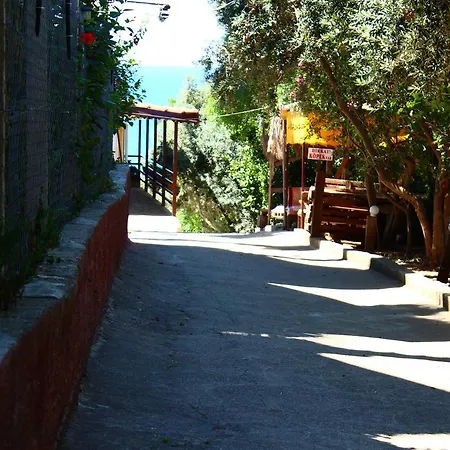 Schoenberg Kızılot