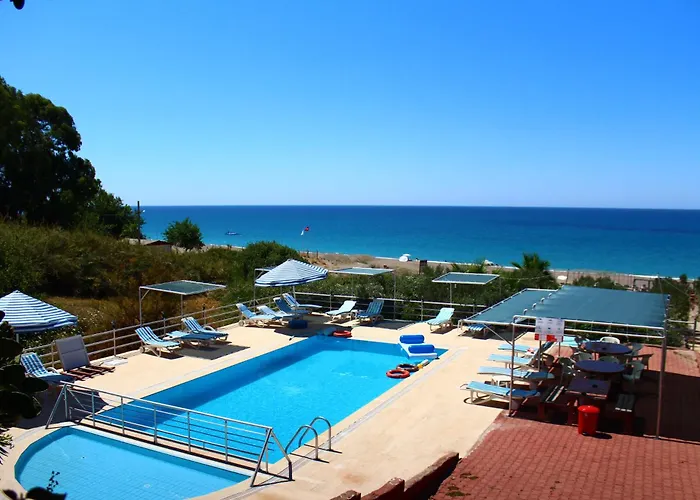 Schoenberg * Kızılot