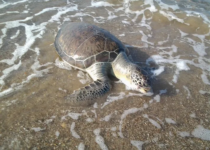 Schoenberg Alloggio in famiglia