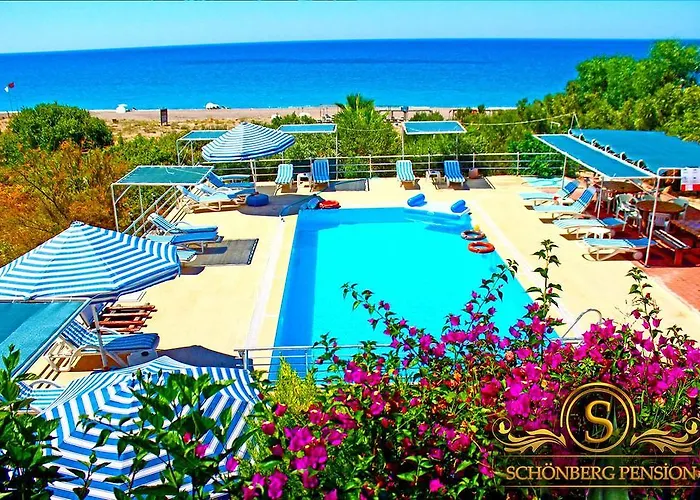 Schonberg * Kızılot