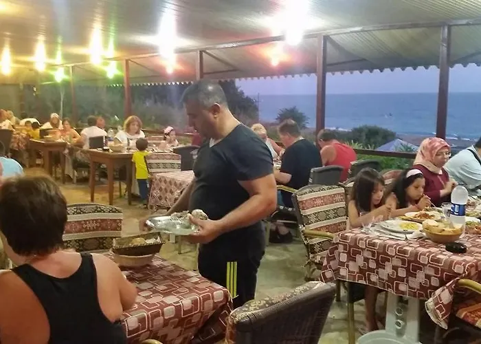 Schonberg * Kızılot