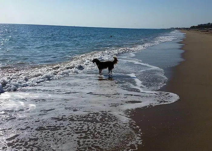 Schoenberg Alloggio in famiglia