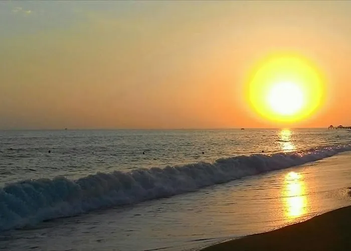 Schonberg * Kızılot