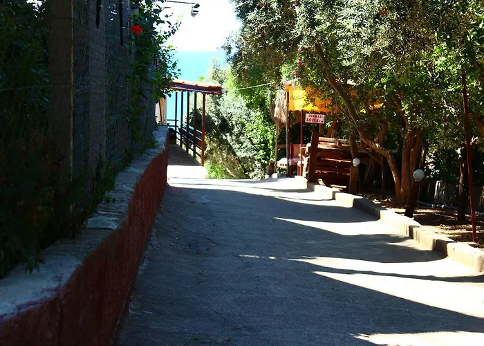 Schoenberg Kızılot